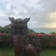 コロンの画像
