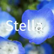 Stella’s Shopの画像