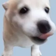 もんすたー