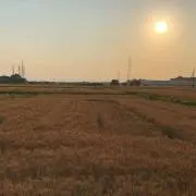 んだほの画像