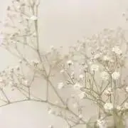 たまごかけごはんの画像