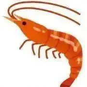 きんのえびちゃん　プロフ読んでね‪ˊᵕˋの画像
