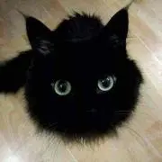 みゆき