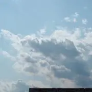 ちーの画像