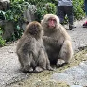 くろさんの画像