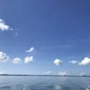 Y's