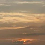NHセレクトの画像