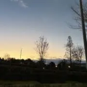 ぽんの画像