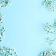 ま る