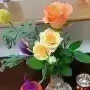 コニーの画像