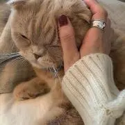 ♡