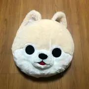 豆しばの画像