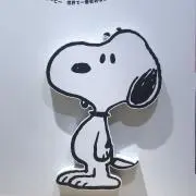 すぬぴの画像