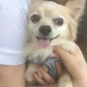 ありうめ