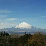 Mobileの画像