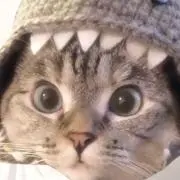 ♡の画像
