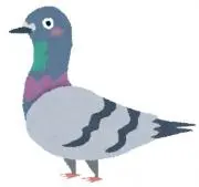 鳩ぽっぽの画像
