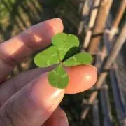 にか