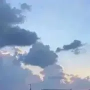Rの画像