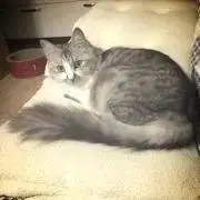 断捨離中⭐︎