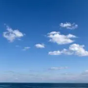 lol@プロフ必須/値下げ◎の画像