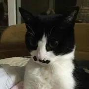 フルドラグ tsr 10号　もふぞん専用　peのみ フルドラグ tsr 10号 もふぞん専用 peのみ - メルカリ