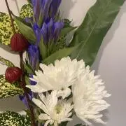 cocoro