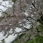 プロフィール読んでください！二人の母さん