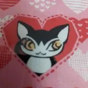 かんの画像