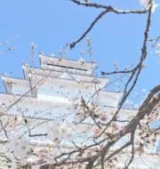 あごおばけ【24時間以内発送】の画像