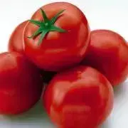 tomatomato
