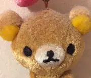 ナコちんの画像