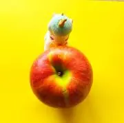 あきの画像
