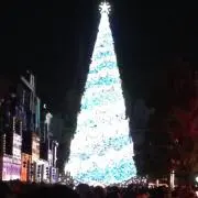 フラッシュの画像