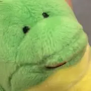 みーの画像
