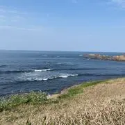 こーだいの画像