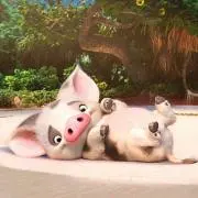 プーすけ