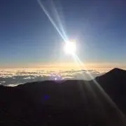 はるの画像