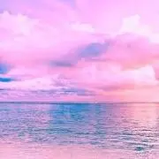 たんたん⭐️多忙