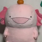 ウパの画像