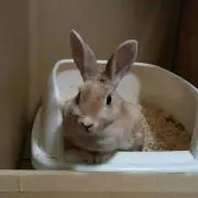 ☆姫子☆の画像
