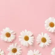 ゆき