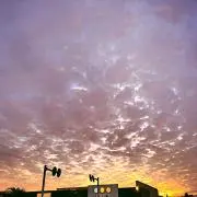 ★ボサノグ★の画像