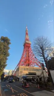 まりの画像