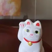 yoyoの画像