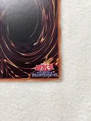 ヒロの画像