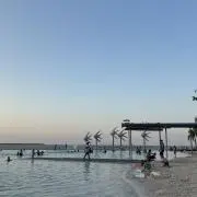 ymmtの画像