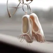 ラディの画像