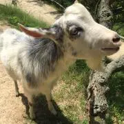 ☆ちゃんまり☆の画像