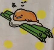 めだかの画像